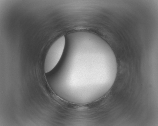 X0000055520210200508120830