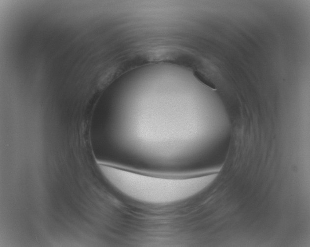 X0000055520219200508120830