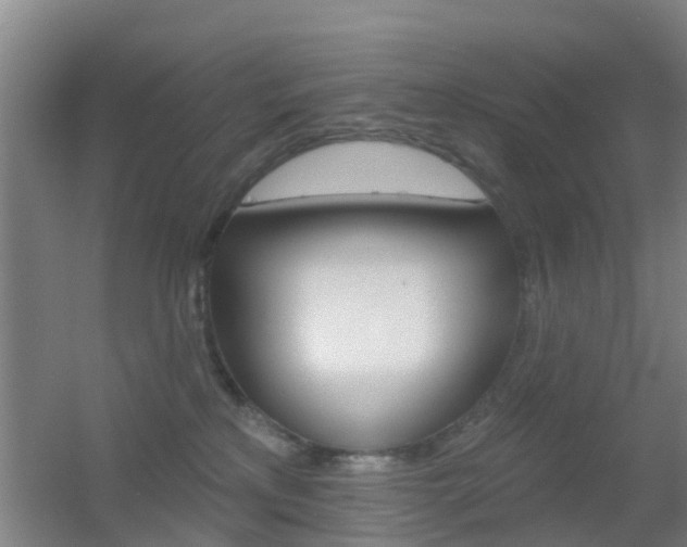 X0000055520233200508120830