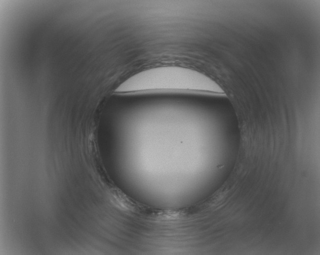 X0000055520235200508120830