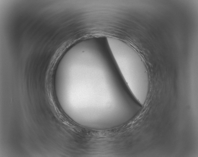 X0000055520241200508120829