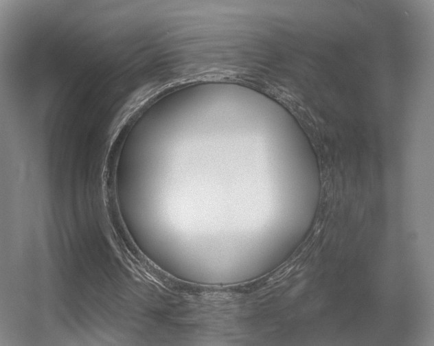 X0000055520242200508120829