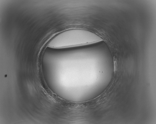 X0000055520243200508120829
