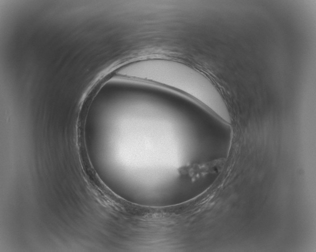 X0000055520244200508120829