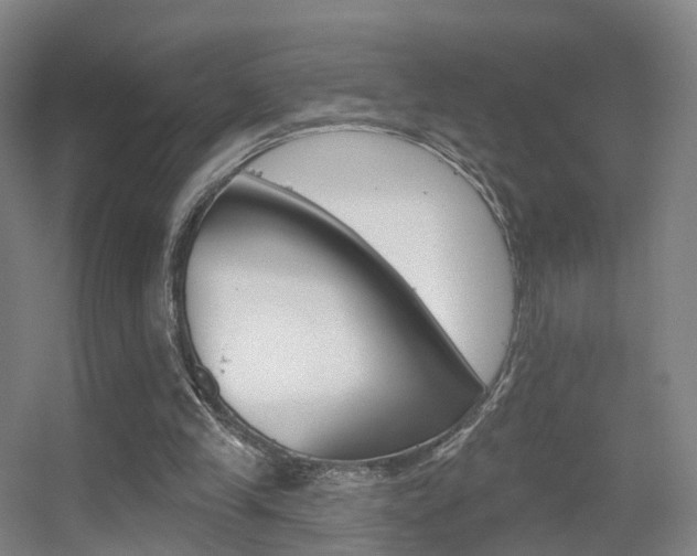 X0000055520245200508120829