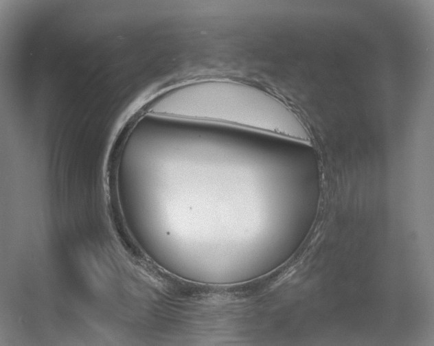 X0000055520246200508120829