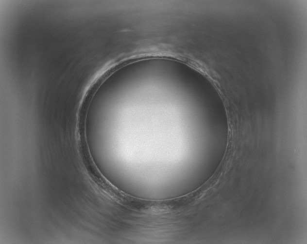 X0000055520248200508120829