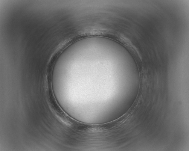 X0000055520250200508120829