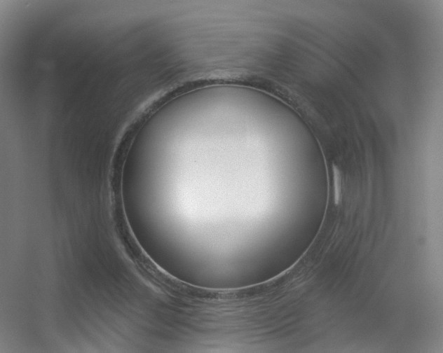 X0000055520252200508120829