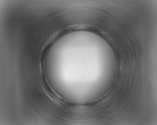 X0000055520254200508120829