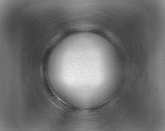 X0000055520258200508120829