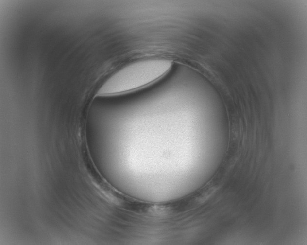 X0000055520261200508120829