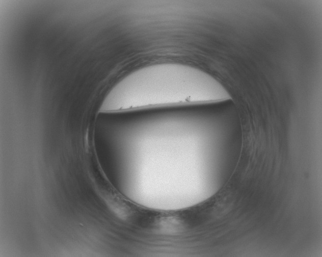X0000055520262200508120829