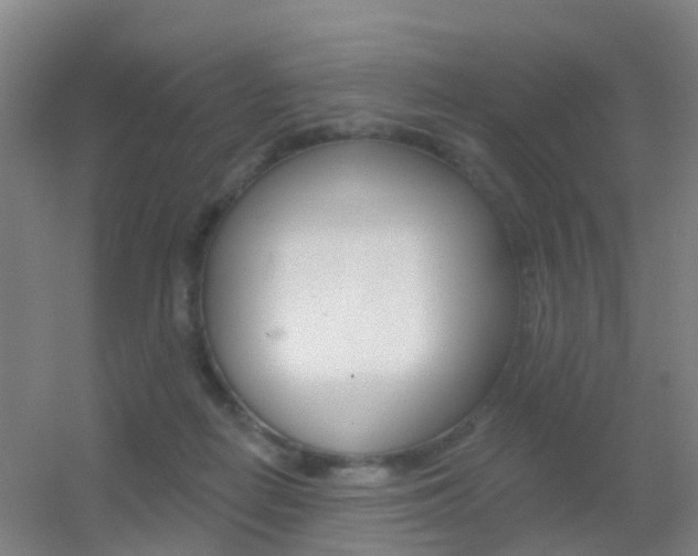 X0000055520266200508120829