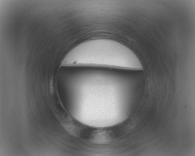 X0000055520267200508120829