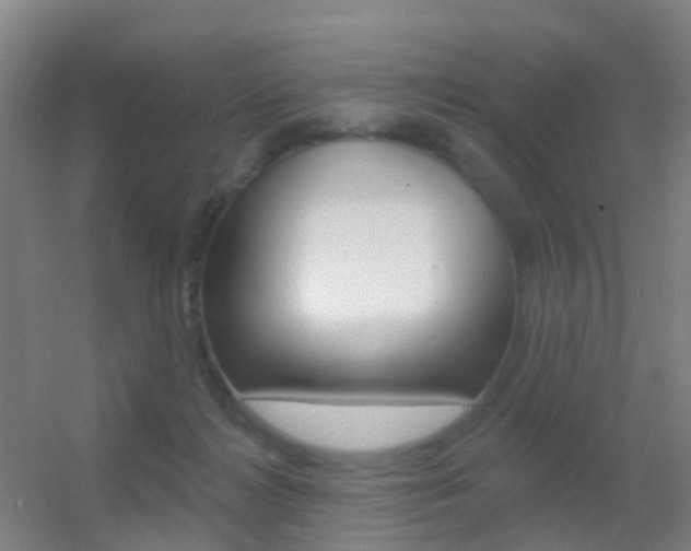 X0000055520268200508120829