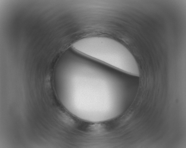 X0000055520269200508120829