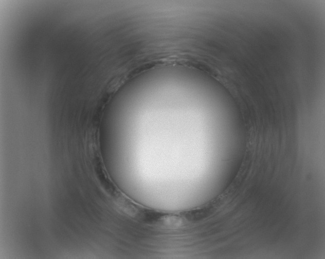 X0000055520272200508120829