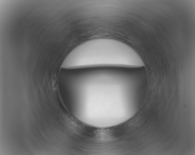 X0000055520273200508120829