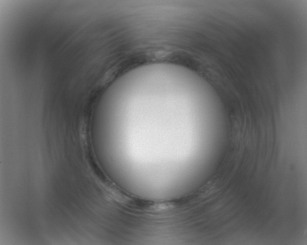 X0000055520274200508120829