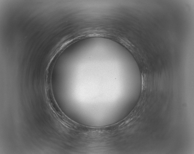X0000055520291200508120829
