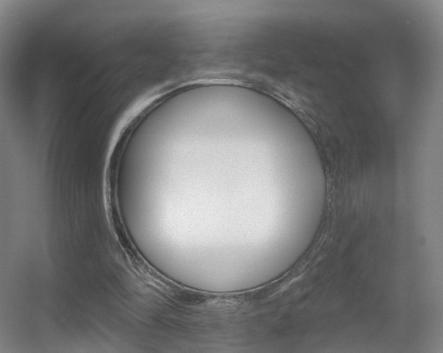 X0000055520294200508120829