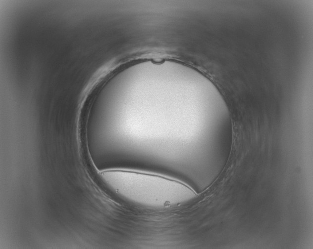 X0000055520296200508120829