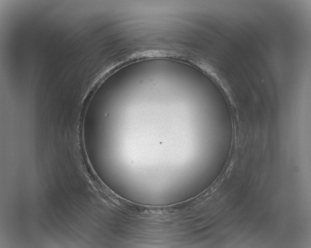 X0000055520297200508120829