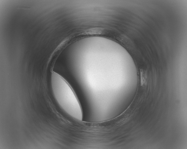 X0000055520300200508120829