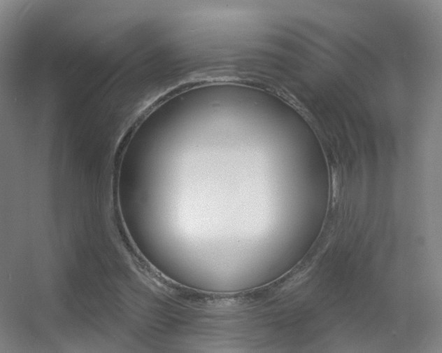 X0000055520301200508120829