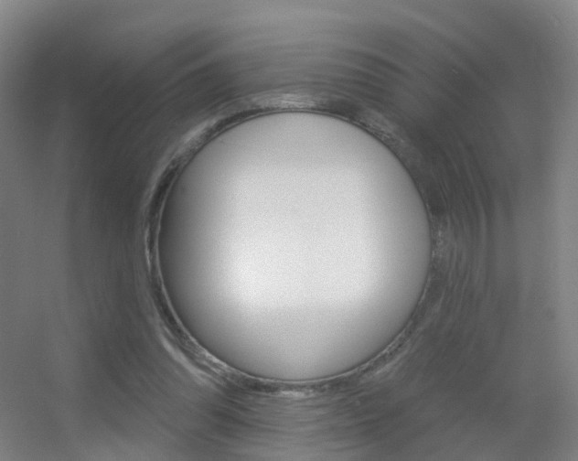 X0000055520302200508120829