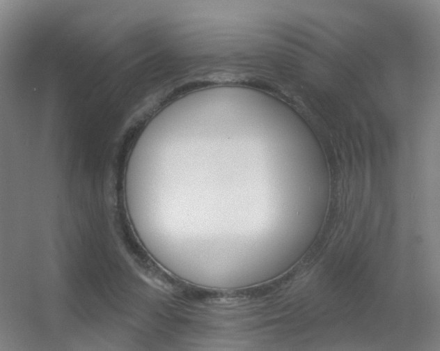 X0000055520303200508120829