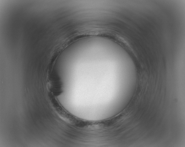 X0000055520307200508120829