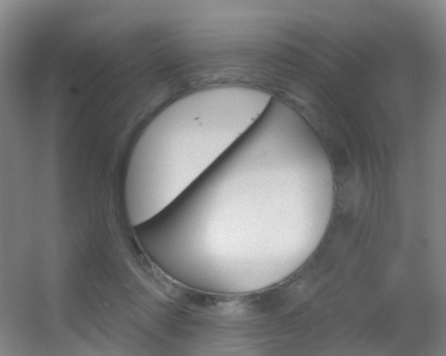 X0000055520310200508120829
