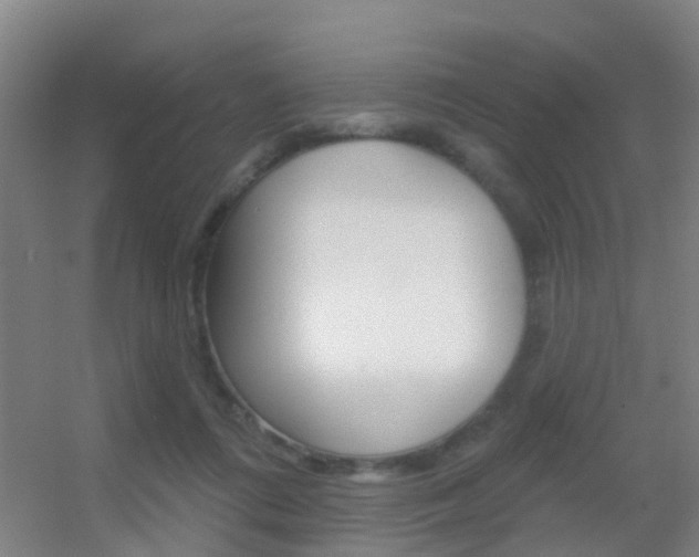 X0000055520312200508120828