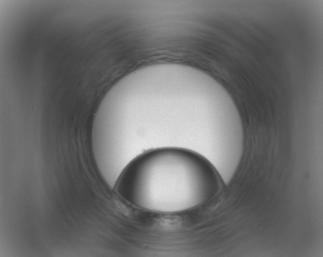 X0000055520317200508120828