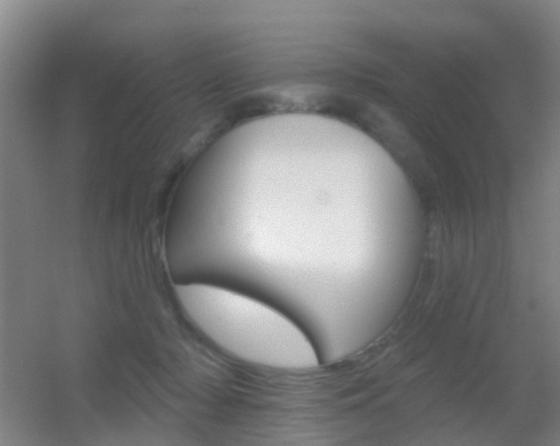 X0000055520318200508120828