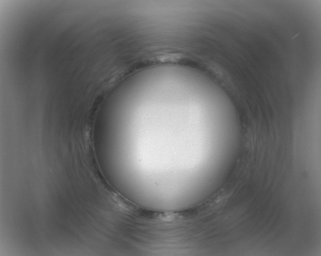 X0000055520321200508120828