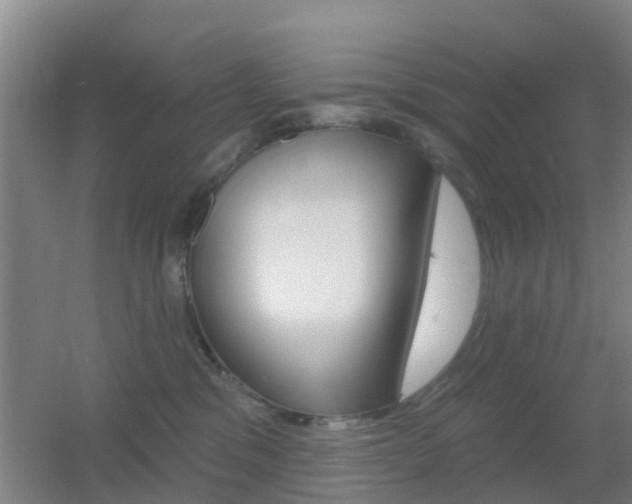 X0000055520329200508120828