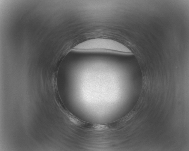 X0000055520333200508120828