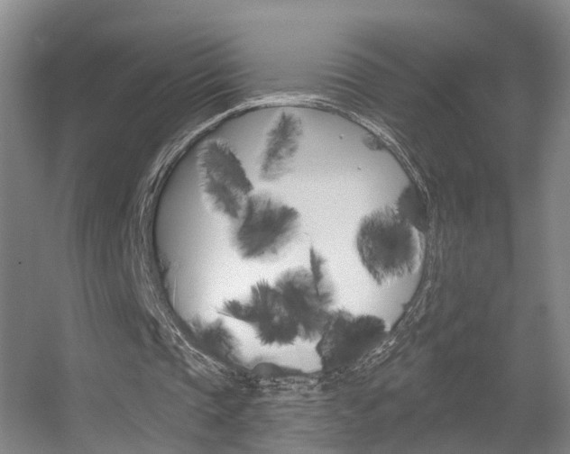 X0000055520337200508120827