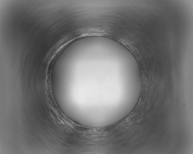 X0000055520338200508120827