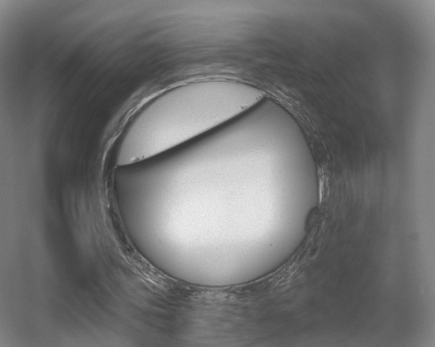X0000055520339200508120827