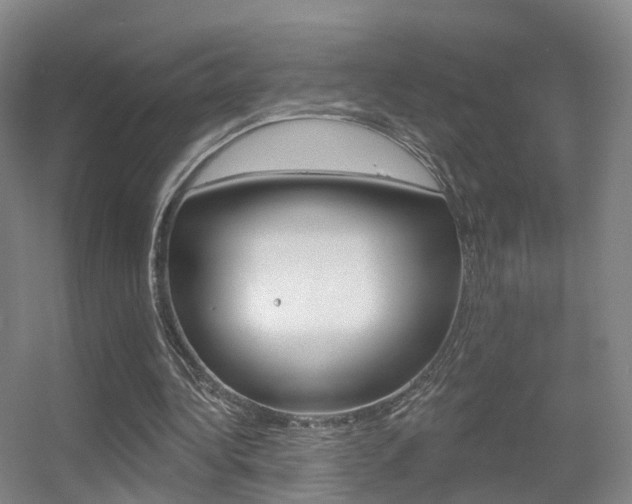 X0000055520340200508120827