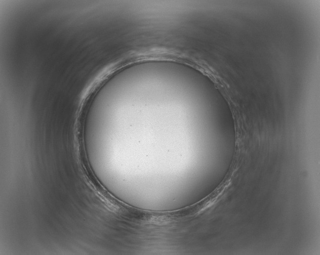 X0000055520341200508120827