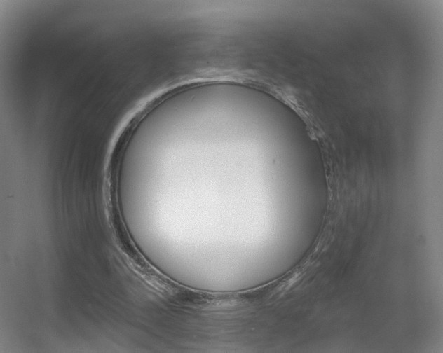X0000055520342200508120827