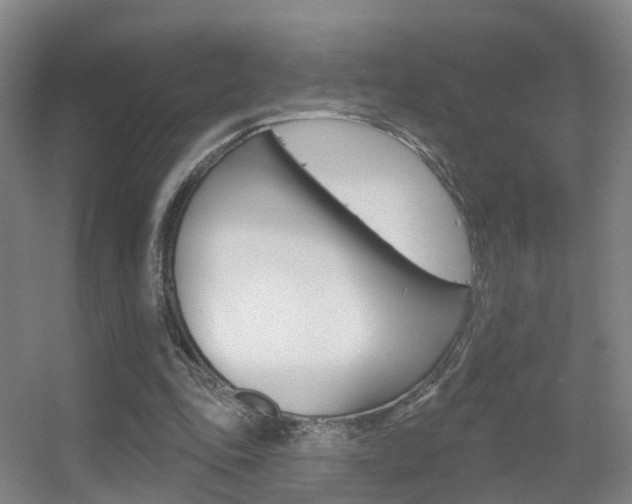 X0000055520343200508120827