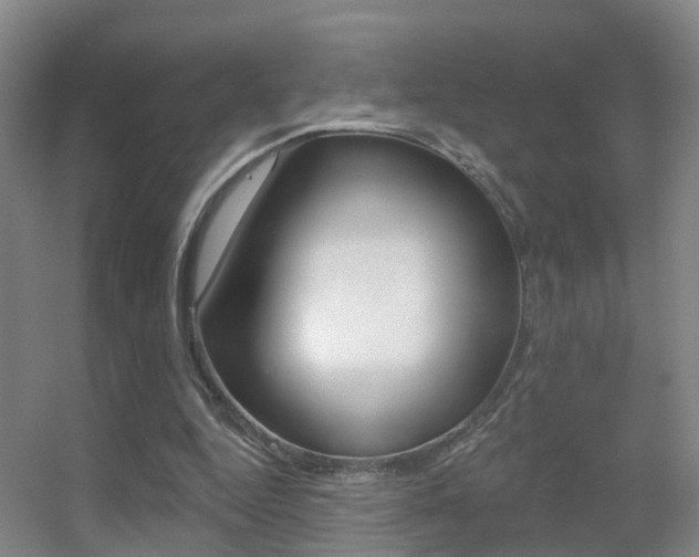 X0000055520344200508120827