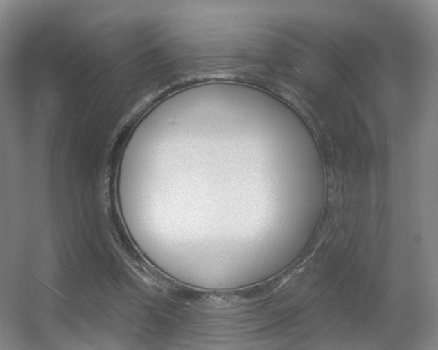 X0000055520346200508120827