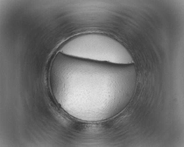 X0000055520347200508120827